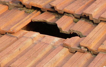 roof repair Staple Cross, Devon
